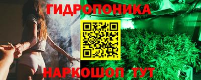 стафф Северобайкальск