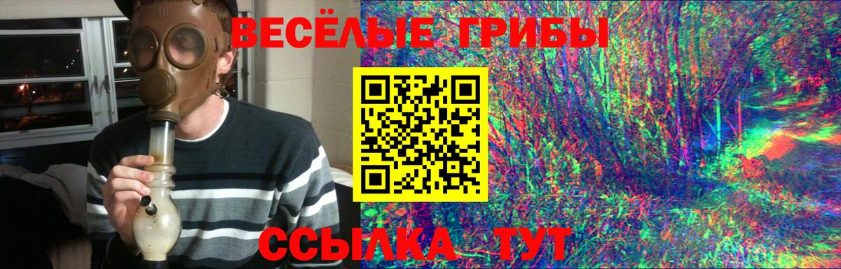 Псилоцибиновые грибы Cubensis  Вход с VPN  Нижнеудинск 